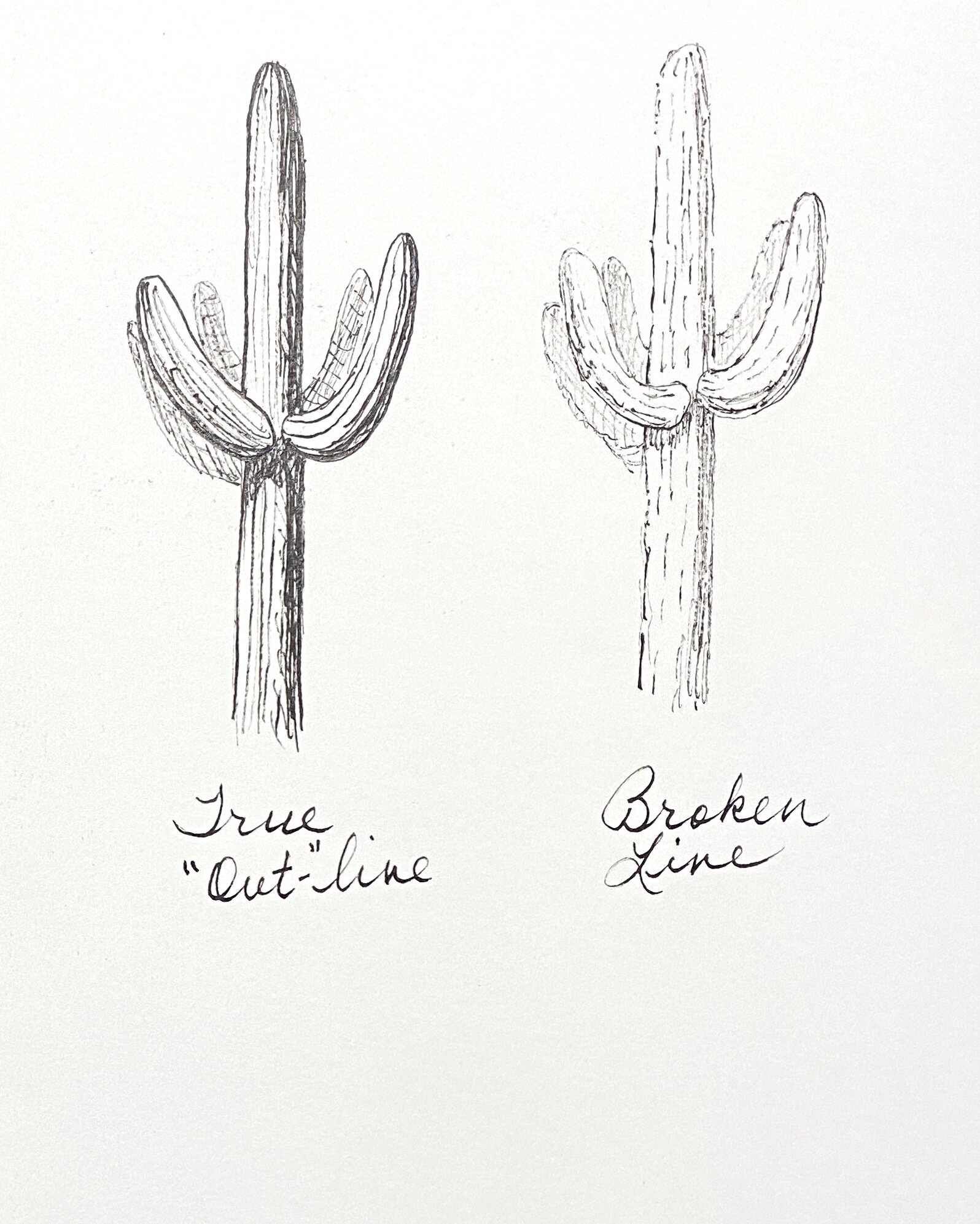 Roseann's sample "True Out-line" and "Broken Line" sketches