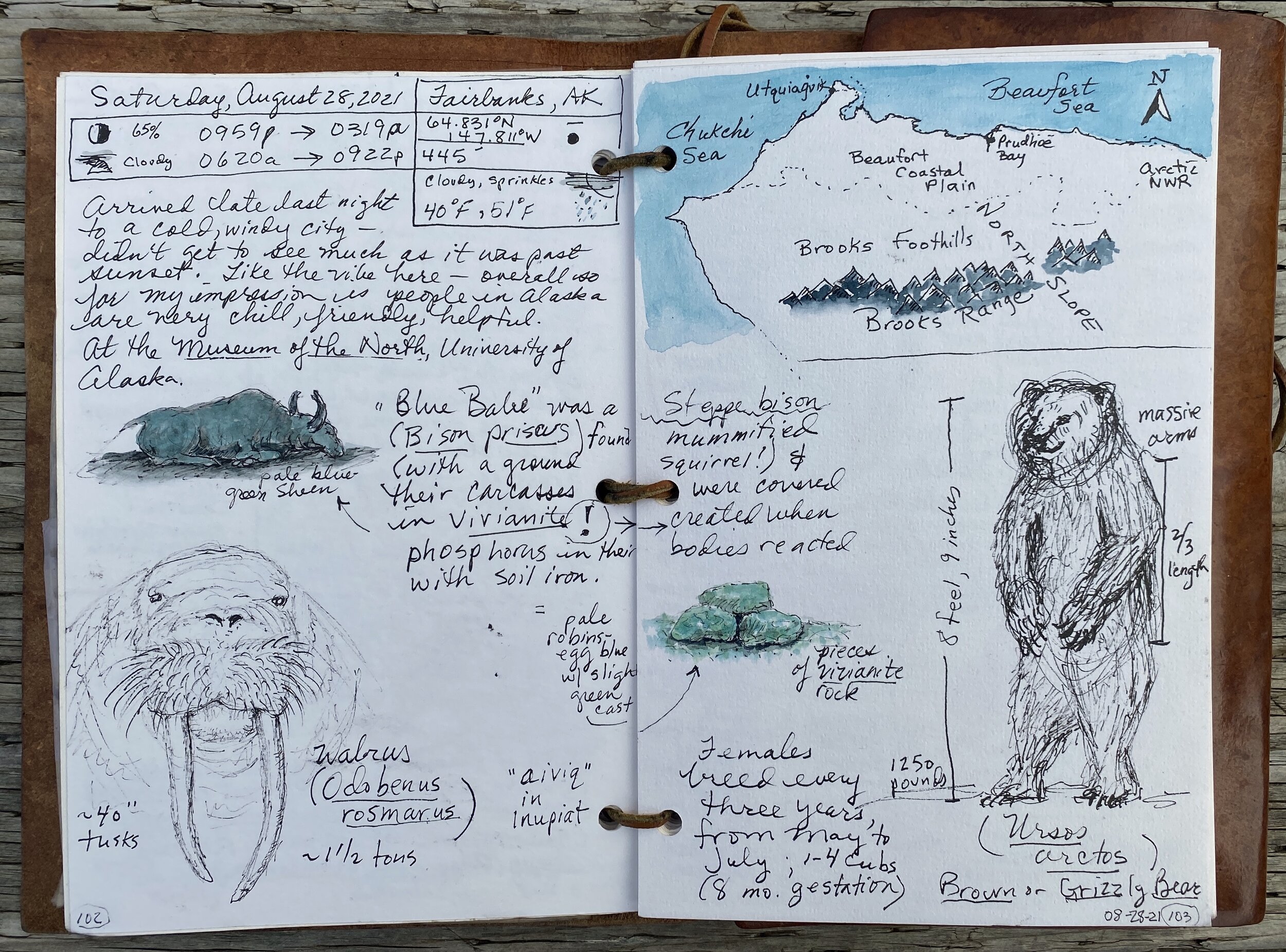 The art of seeing instead of looking: reasons to keep a nature journal —  Exploring Overland