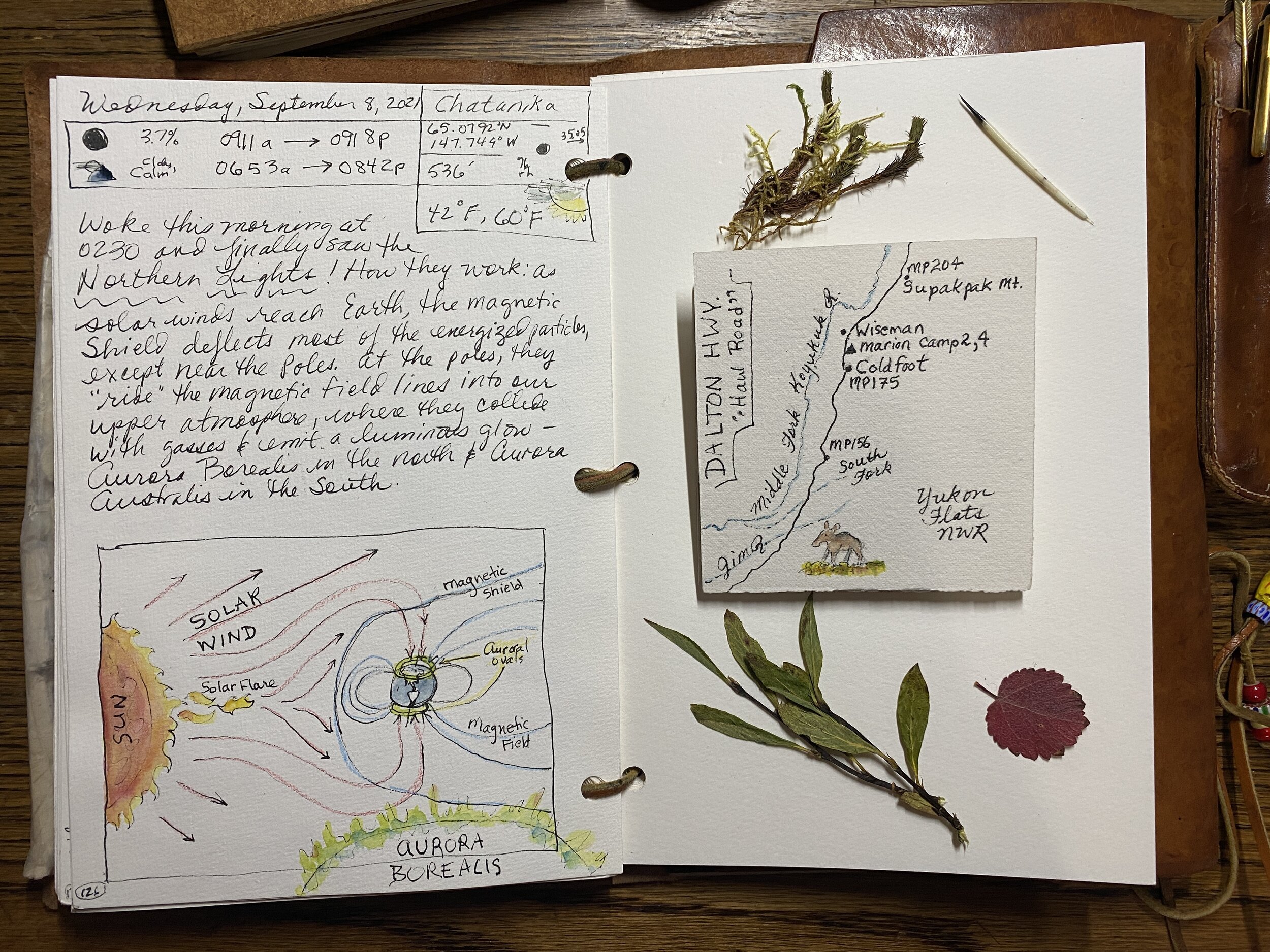 The art of seeing instead of looking: reasons to keep a nature journal —  Exploring Overland