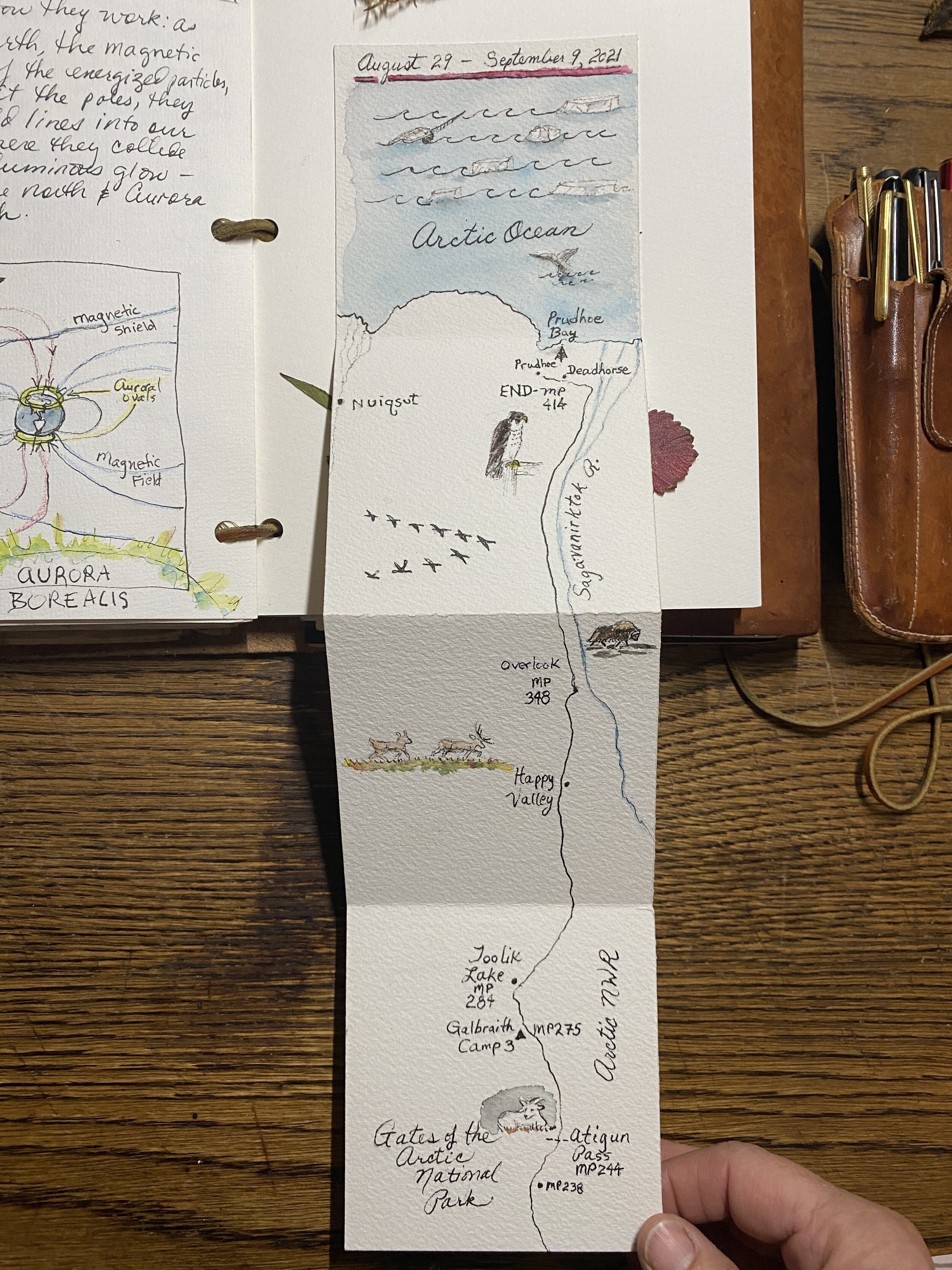 The art of seeing instead of looking: reasons to keep a nature journal —  Exploring Overland