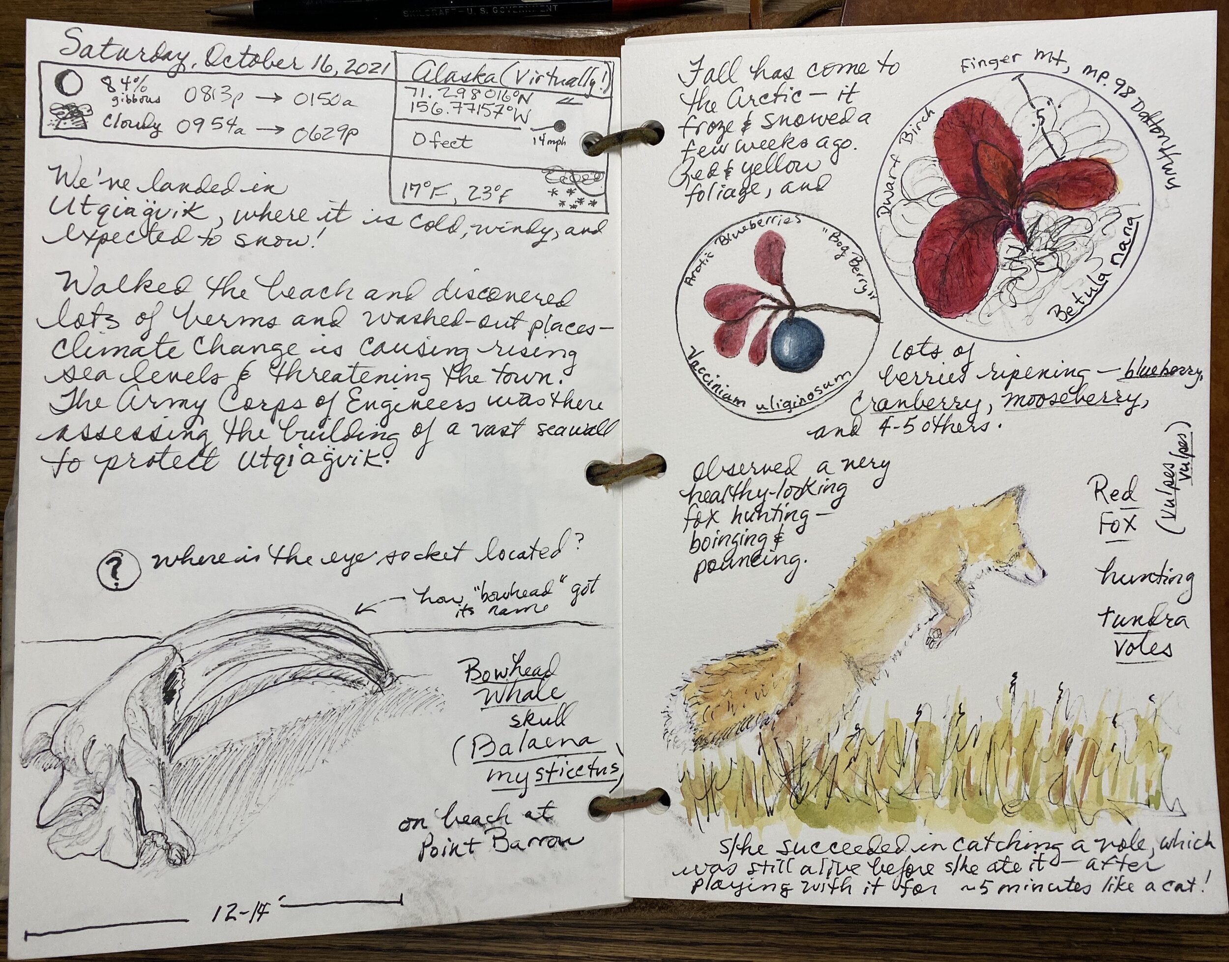 Roseann's journal pages from the demo