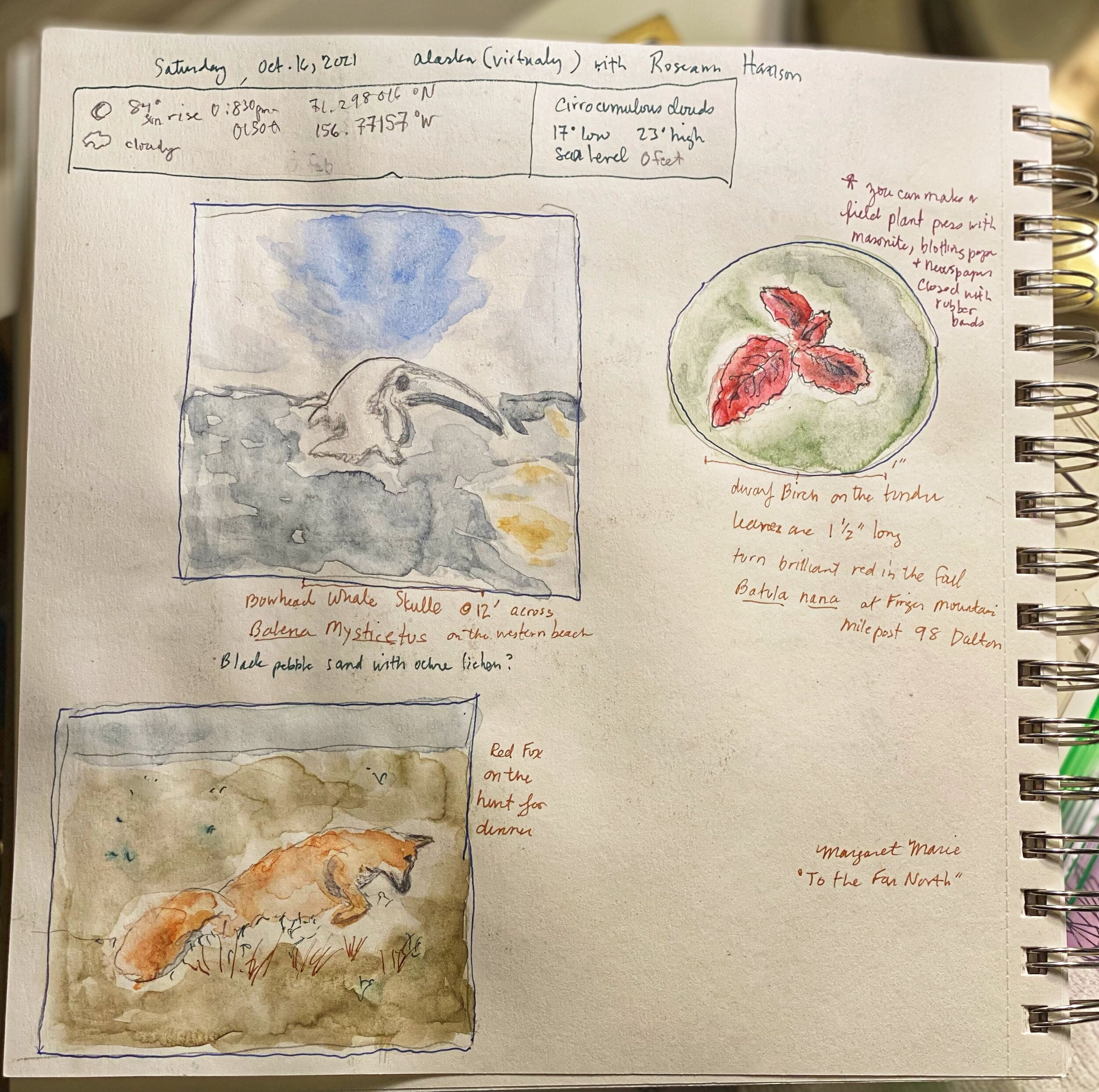 Nature Journal Page Flow — Exploring Overland