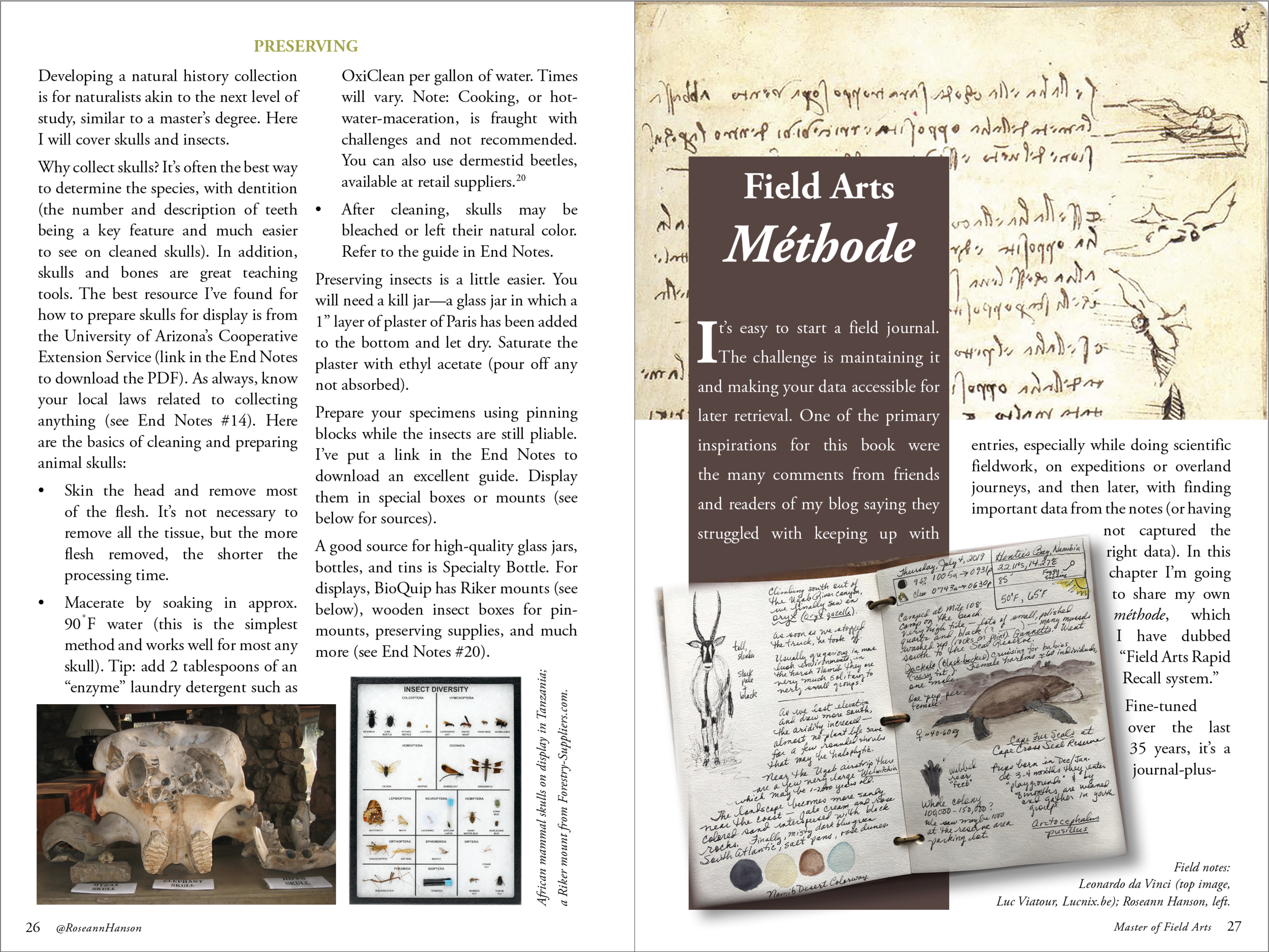 7 - Master of Field Arts Methode.png