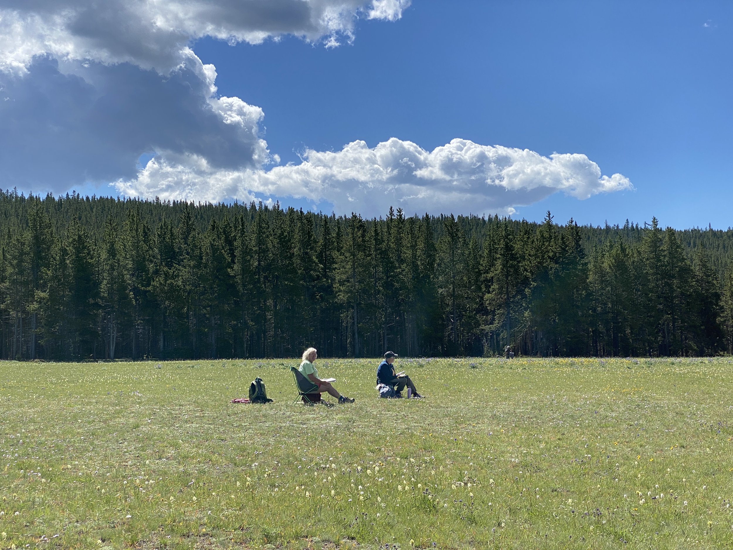 Field sketching "landscapitos."