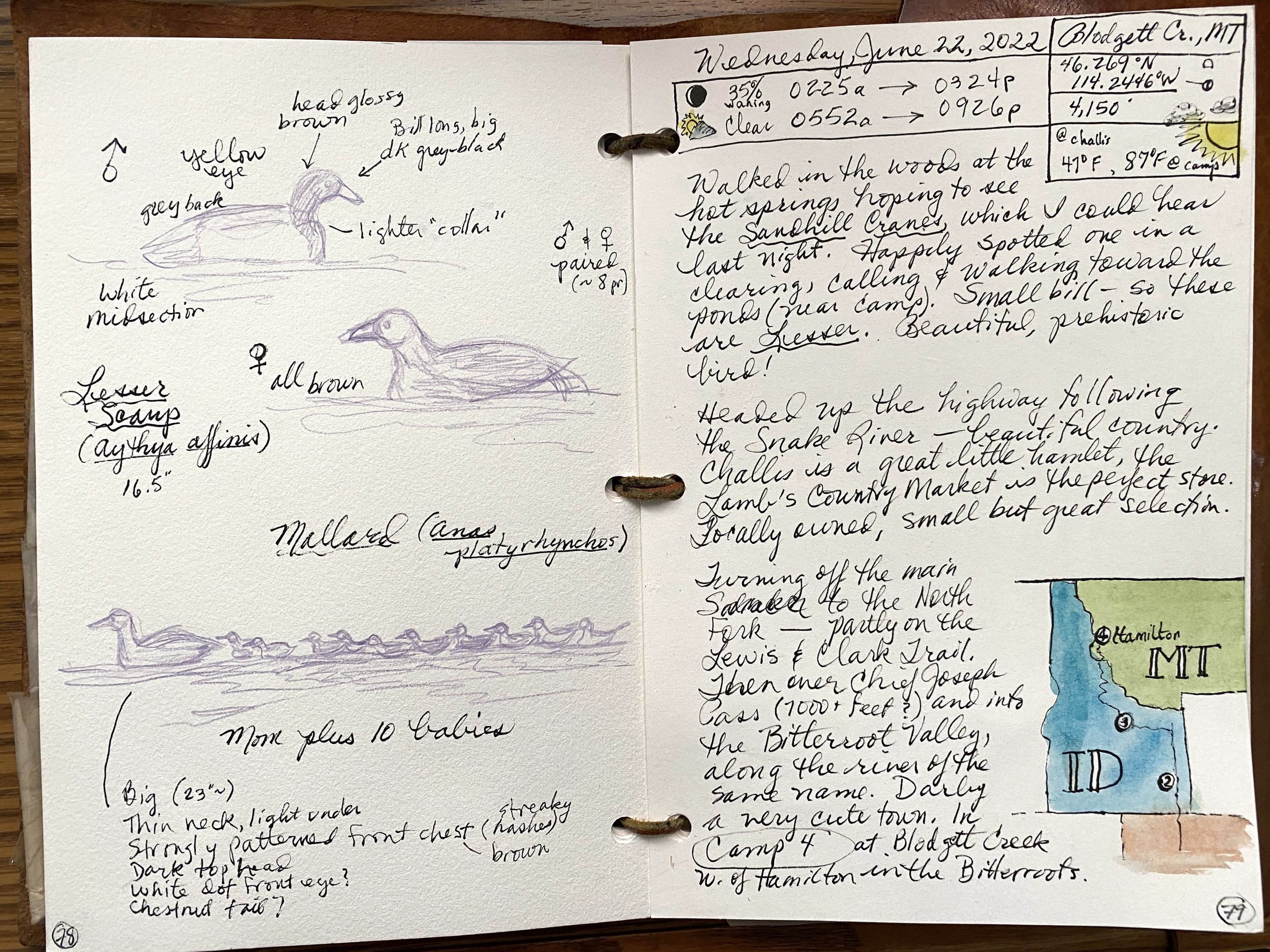 The art of seeing instead of looking: reasons to keep a nature journal —  Exploring Overland