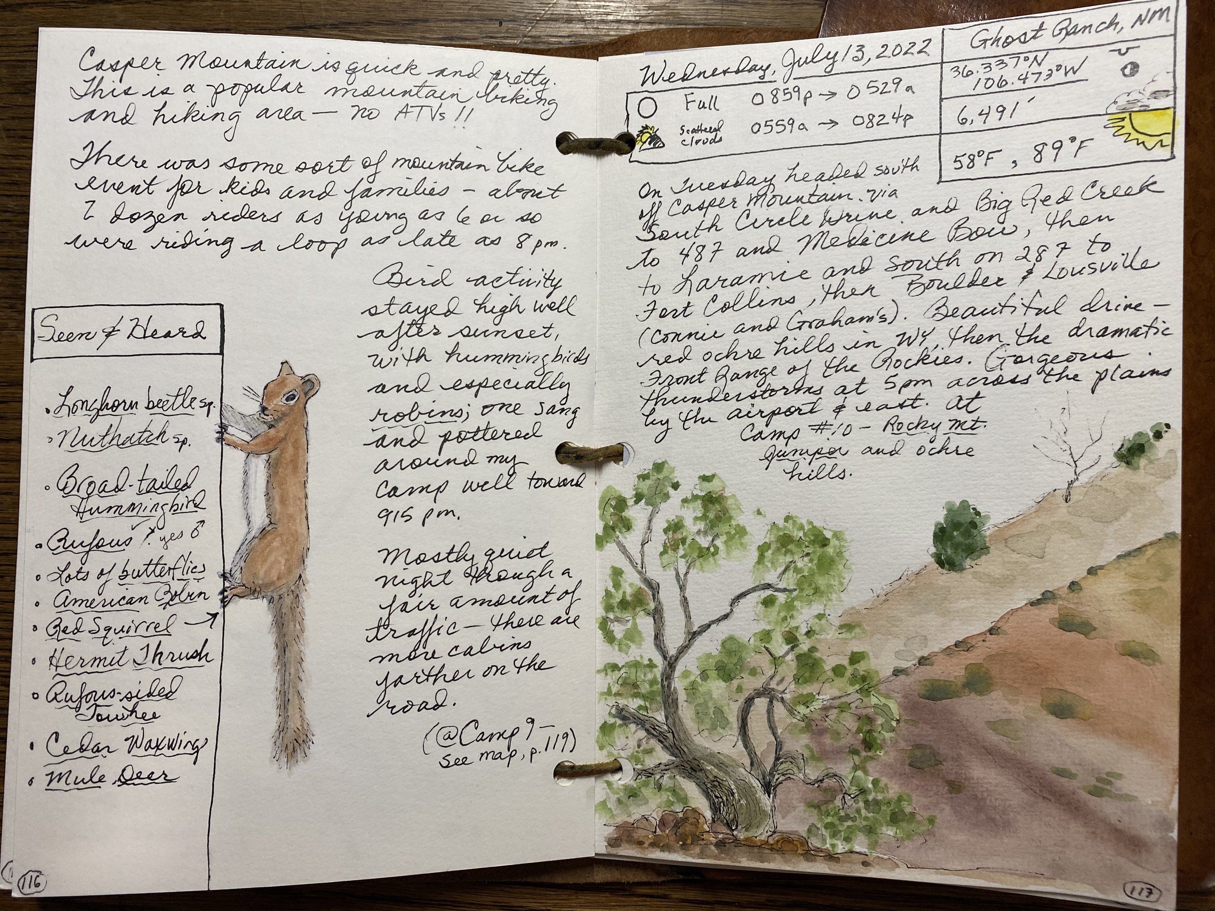 Building an Autumn Nature Journal: A Workshop in Watercolor & Ink (with the  Land Trust of North Alabama) - alabamanaturejournalclub