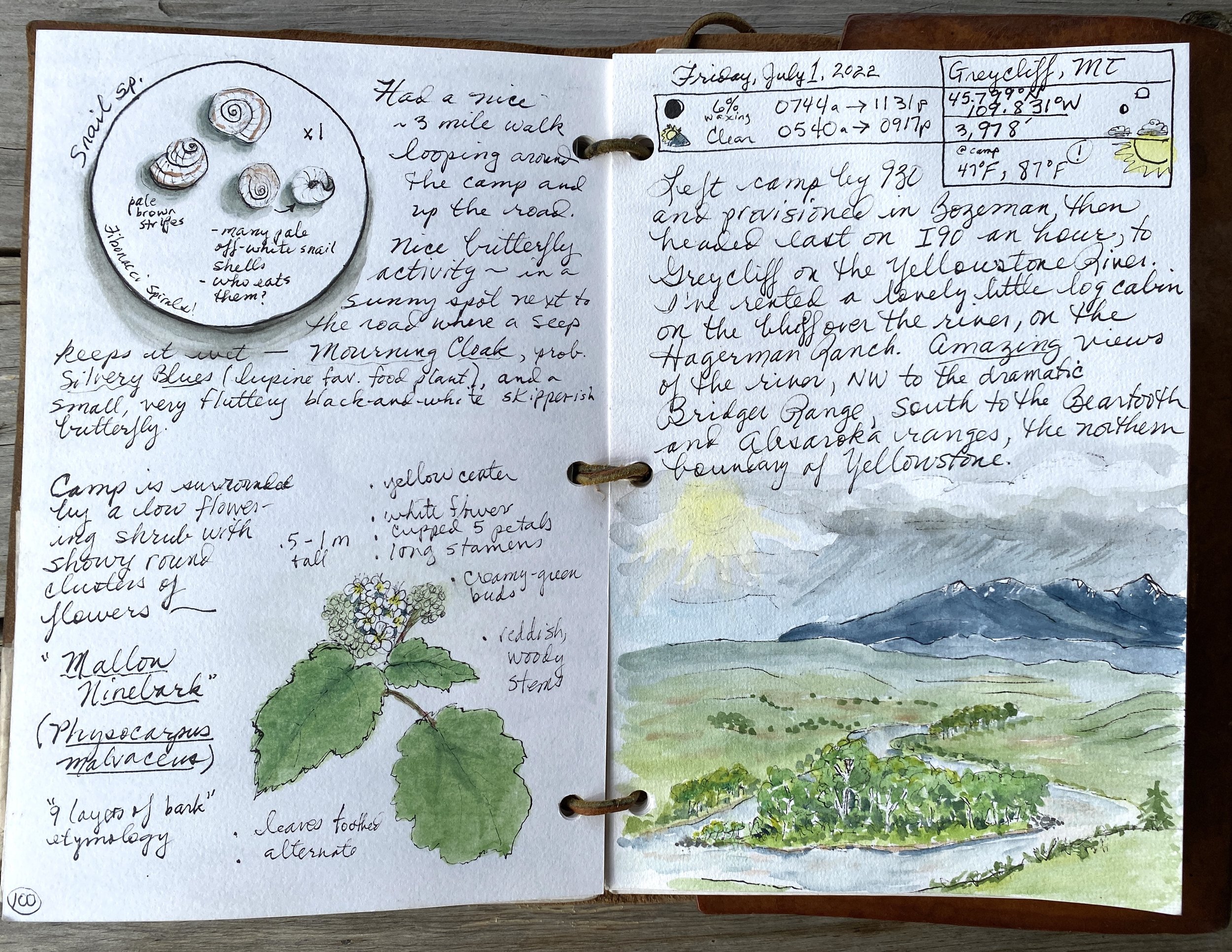 The art of seeing instead of looking: reasons to keep a nature journal —  Exploring Overland