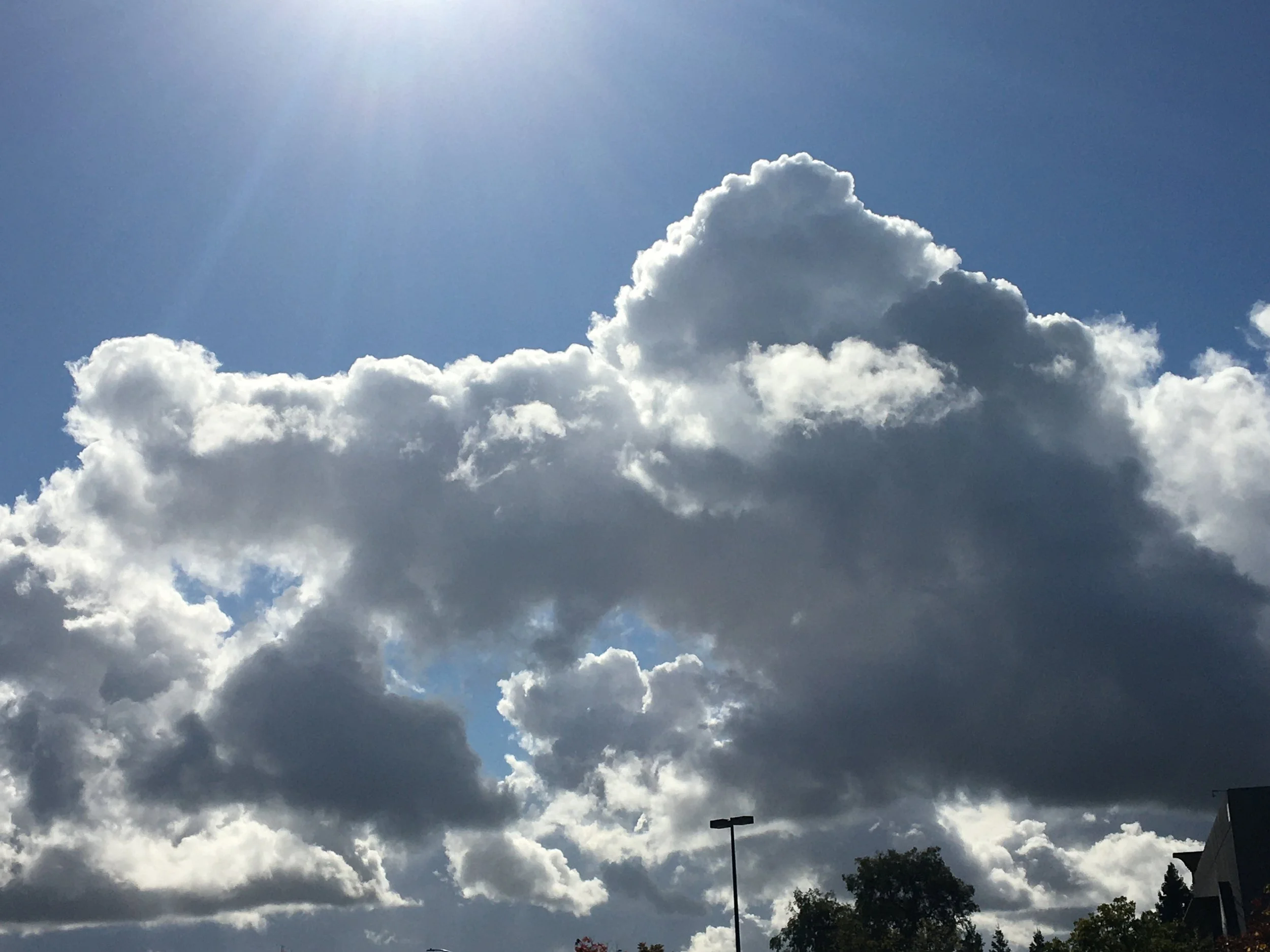 Credit: Sarah E. Reid