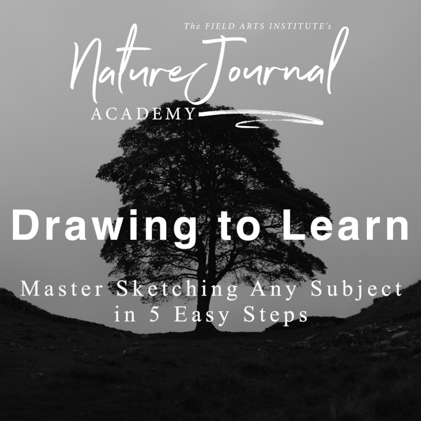 We can all draw. 
.
None of us is born &ldquo;talented&rdquo; or &ldquo;not talented.&rdquo; It is a skill that we learn.
.
And here&rsquo;s an interesting fact: our brains love to learn, so much so that the more you push your brain to learn a new sk