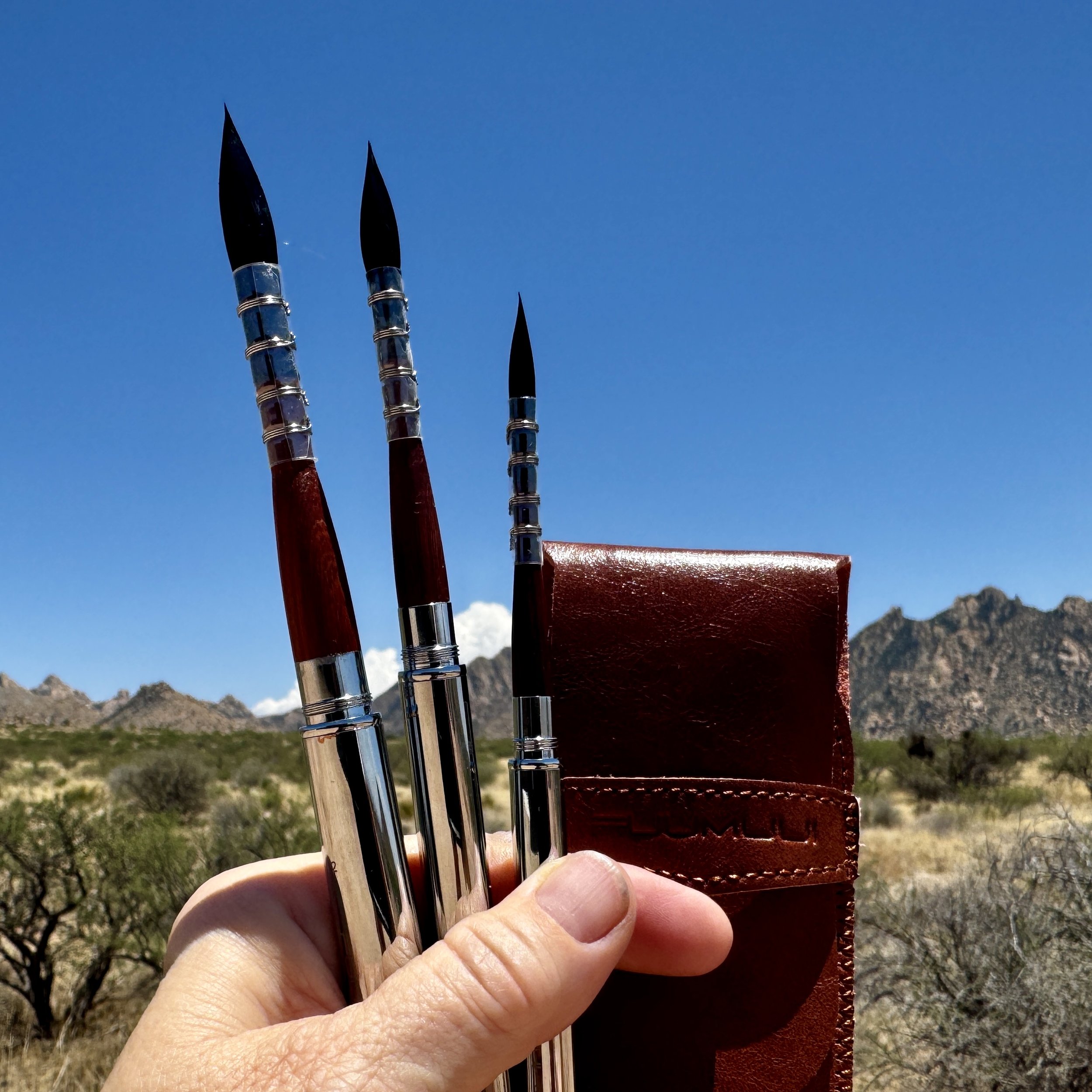 Fuumuui Travel Brushes