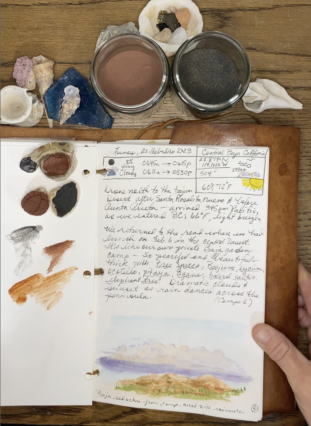 Wild Colors of Baja — Exploring Overland