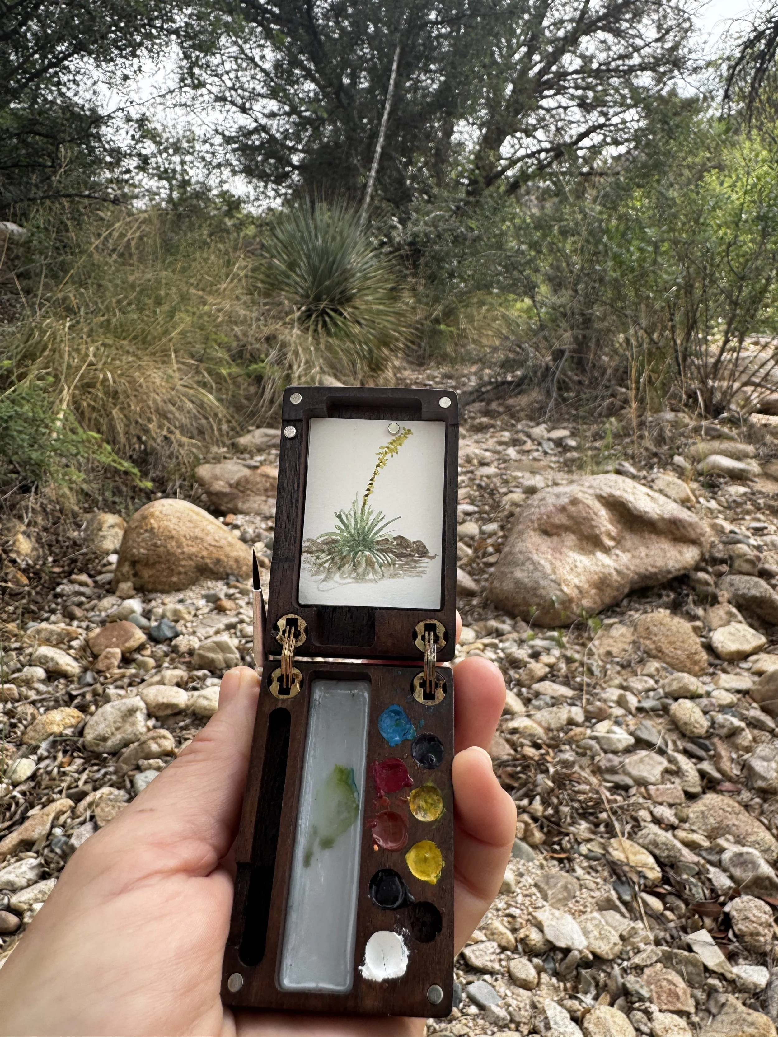 Pochade box delights