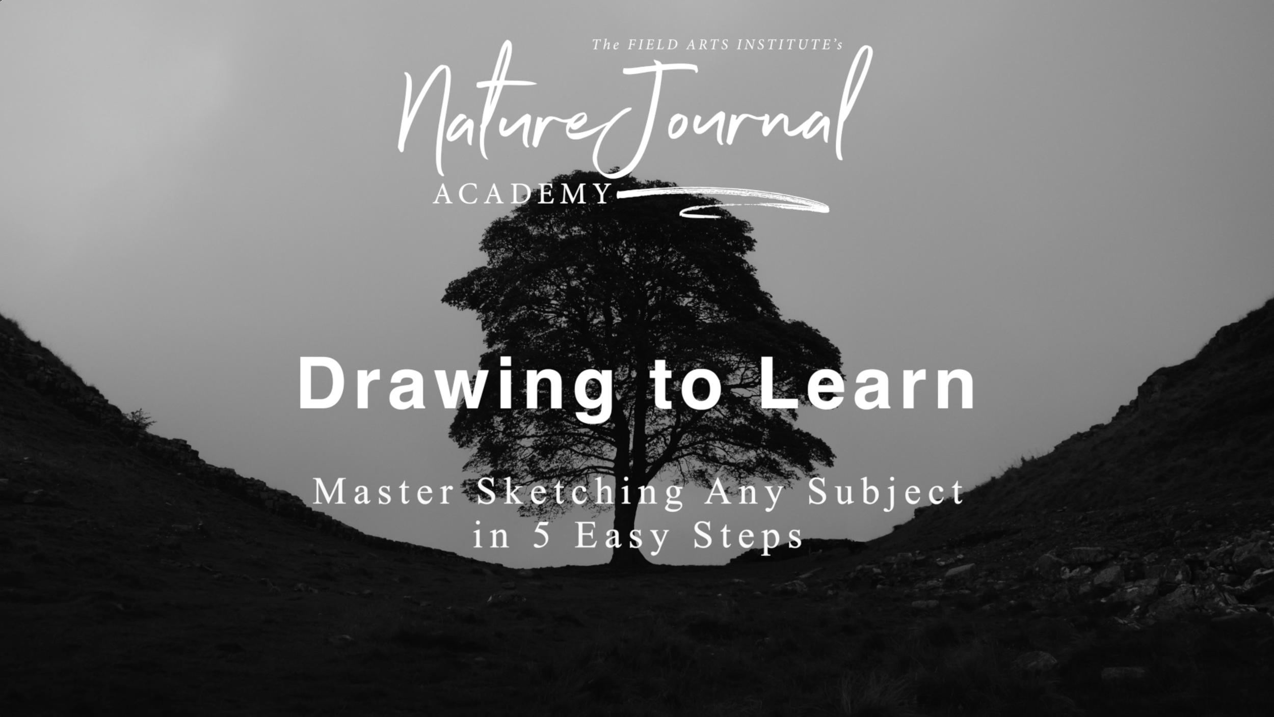 Sketch Journal Art Exploration Course, ONLINE