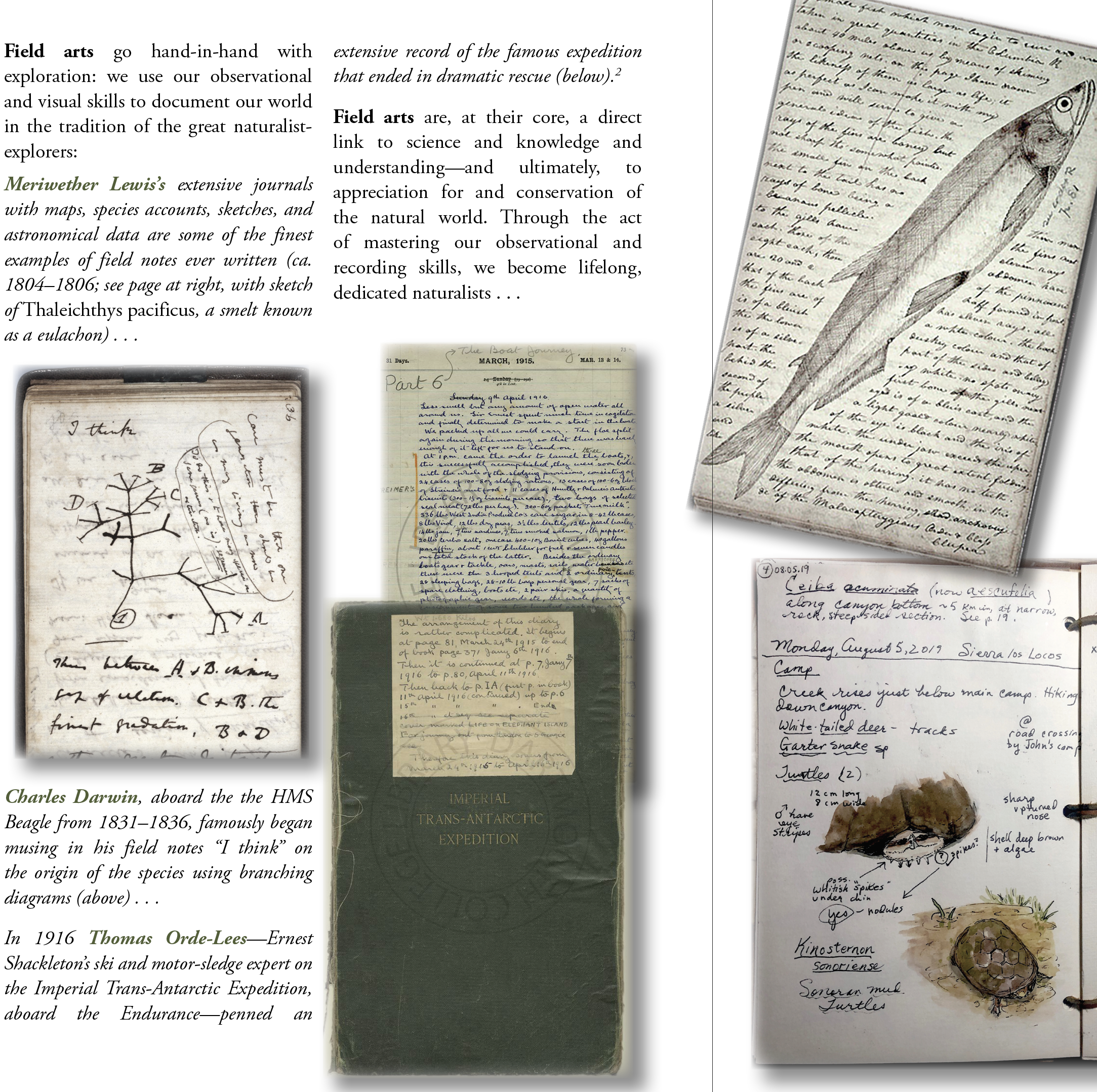 Field notes, a historical perspective — Exploring Overland