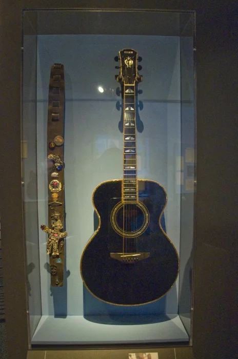 black geetar.jpg