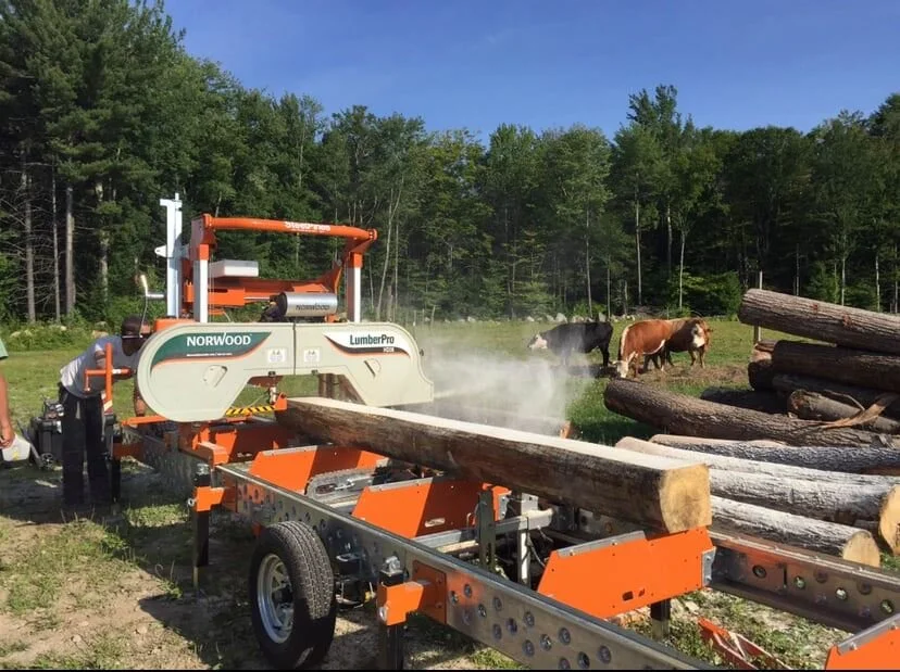 Adding to a History of Sawmills in Edinburg, NY