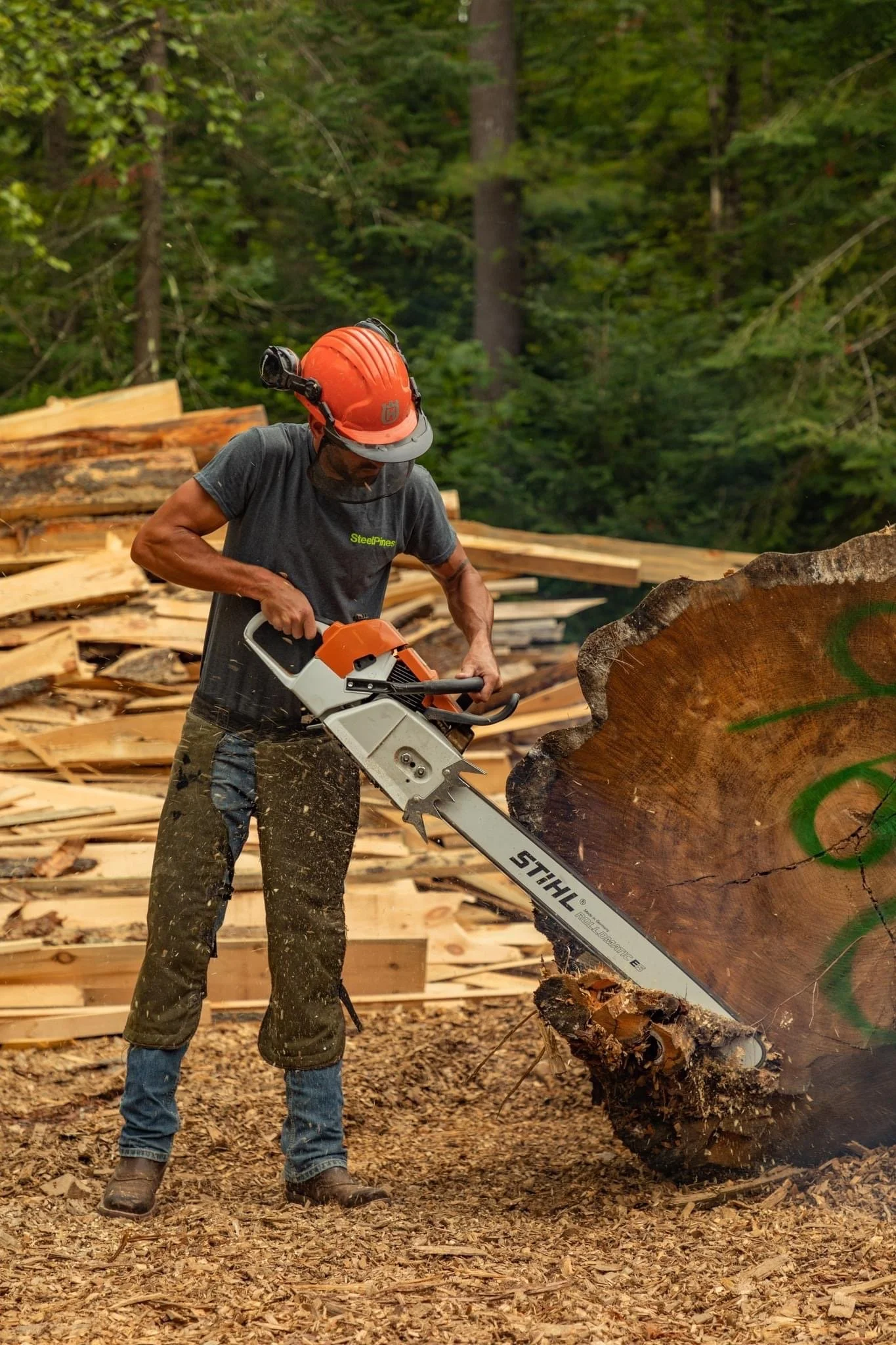 From Forest to Home: How Steel Pines Mills Local Timber