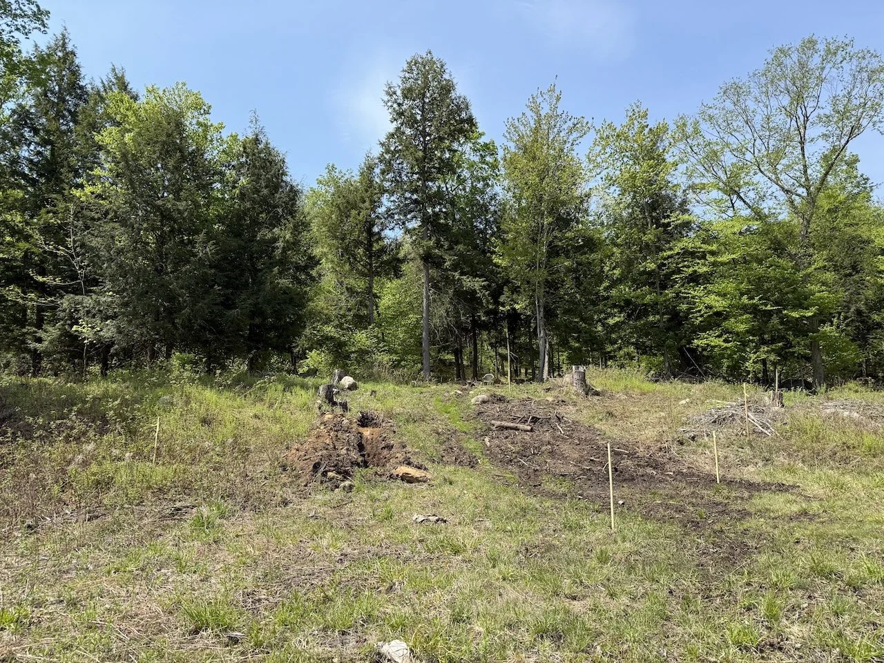 Survey stakes marking house layout on a wooded lot during preliminary foundation digging