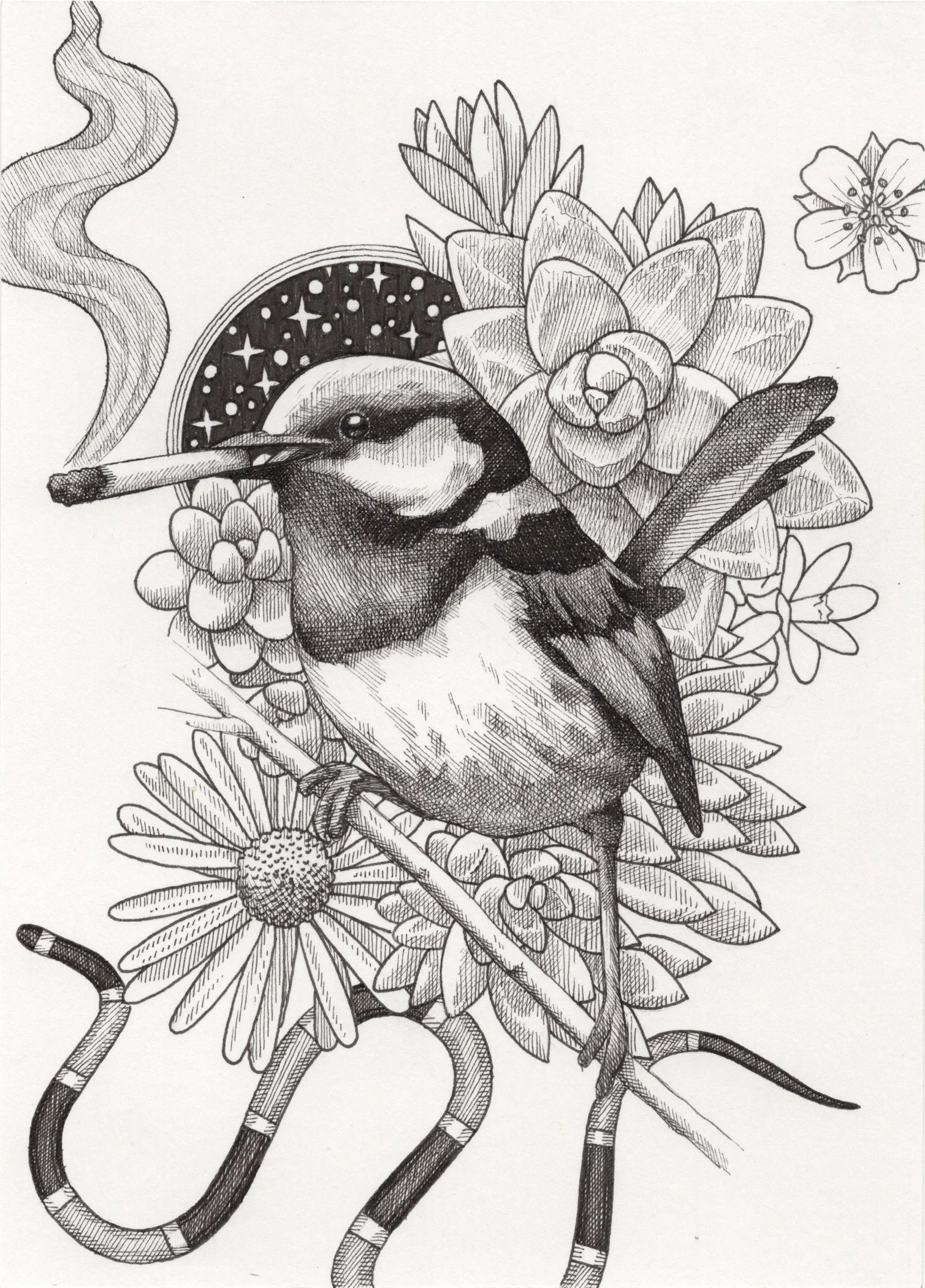 Hand drawn ink on paper, 5”x 7”