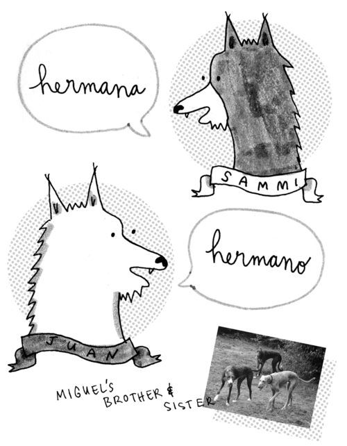 migzine5.png