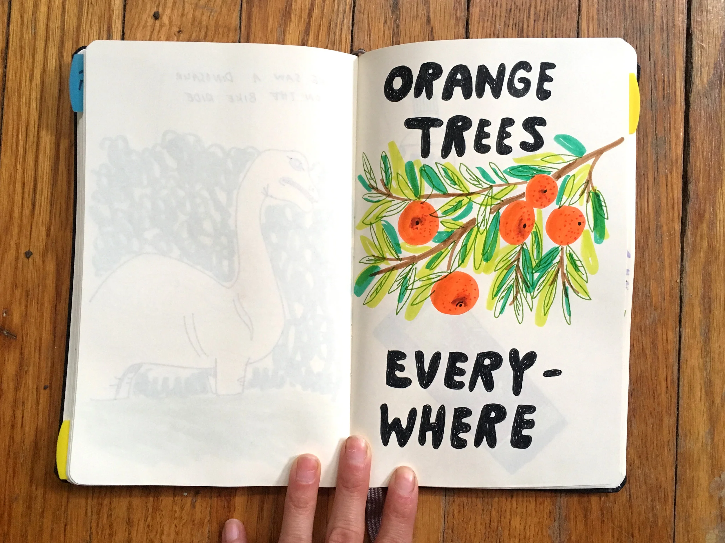 sketchbook.jpg