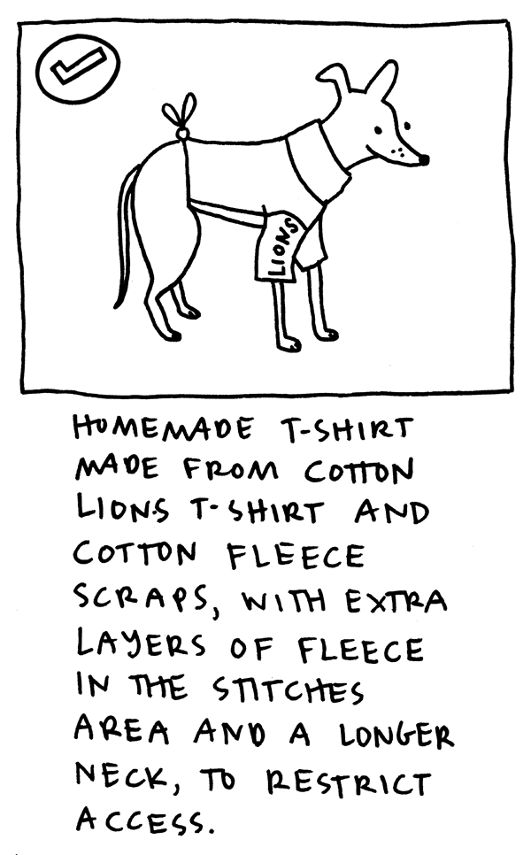 Homemade t-shirt made from cotton Lions t-shirt and cotton fleece scraps, with extra layers of fleece in the stitches area and a longer neck, to restrict access.