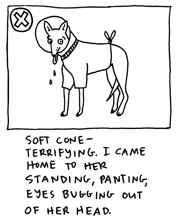 Soft cone - terrifying. I came home to her standing, panting, eyes bugging out of her head.