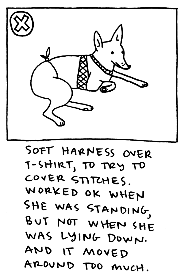 Soft harness over t-shirt, to try to cover stitches. Worked ok when she was standing, but not when she was lying down. And it moved around too much.