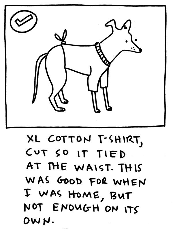 XL cotton t-shirt, cut so it tied at the waist. This was good for when I was home, but not enough on its own.