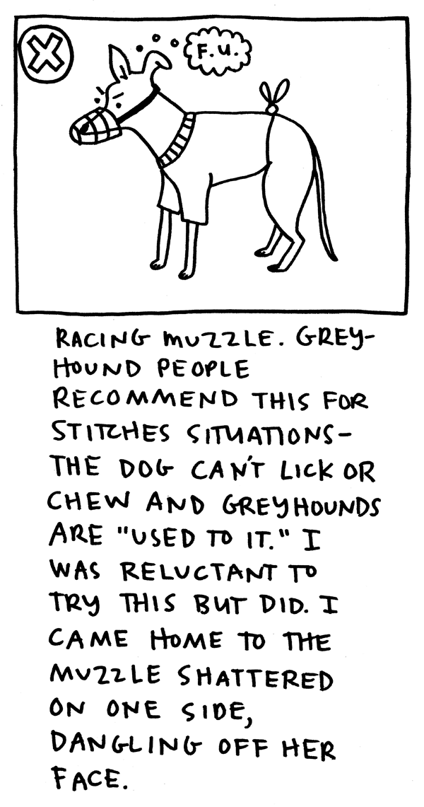 Racing muzzle. Greyhound people recommend this for stitches situations - the dog can't lick or chew and greyhounds are "used to it." I was reluctant to try this but did. I came home to the muzzle shattered on one side, dangling off her face.