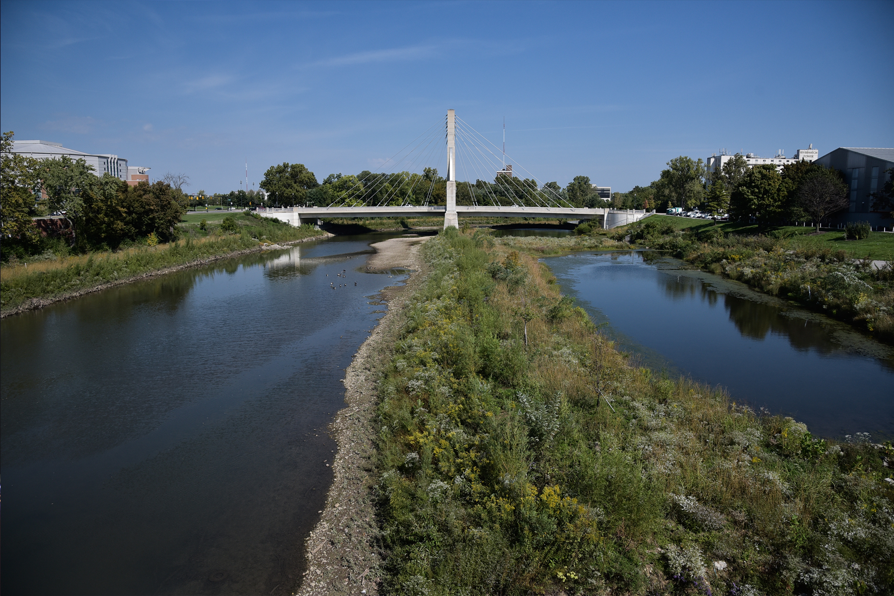 The Lane Avenue Bridge sails across the Olentangy River with ease at a span of 370 feet. The modern cable-stay design provides an iconic gateway into the University District. Stop halfway for sweeping views of the Olentangy River restoration project . River channel renovations have added natural marsh areas, riffles, and restored banks. Map & Info