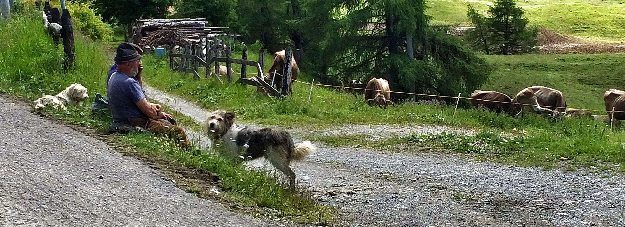 Nothing to do with France at all but a sneaky photo of some Italian cow-herders from the Alps the other day.