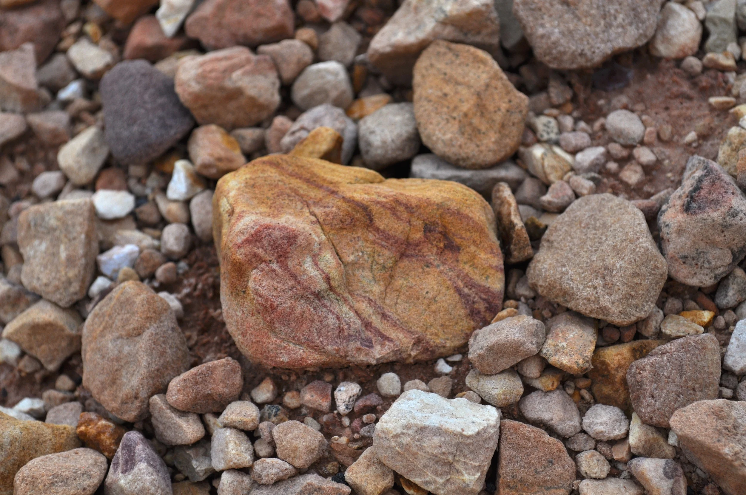 4 Steps to Attract, Retain and Develop Millennials