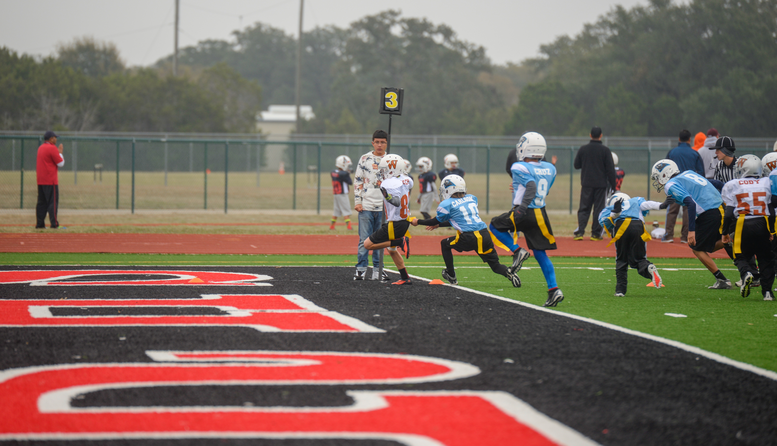 Panthers November 15, 2014-3.jpg