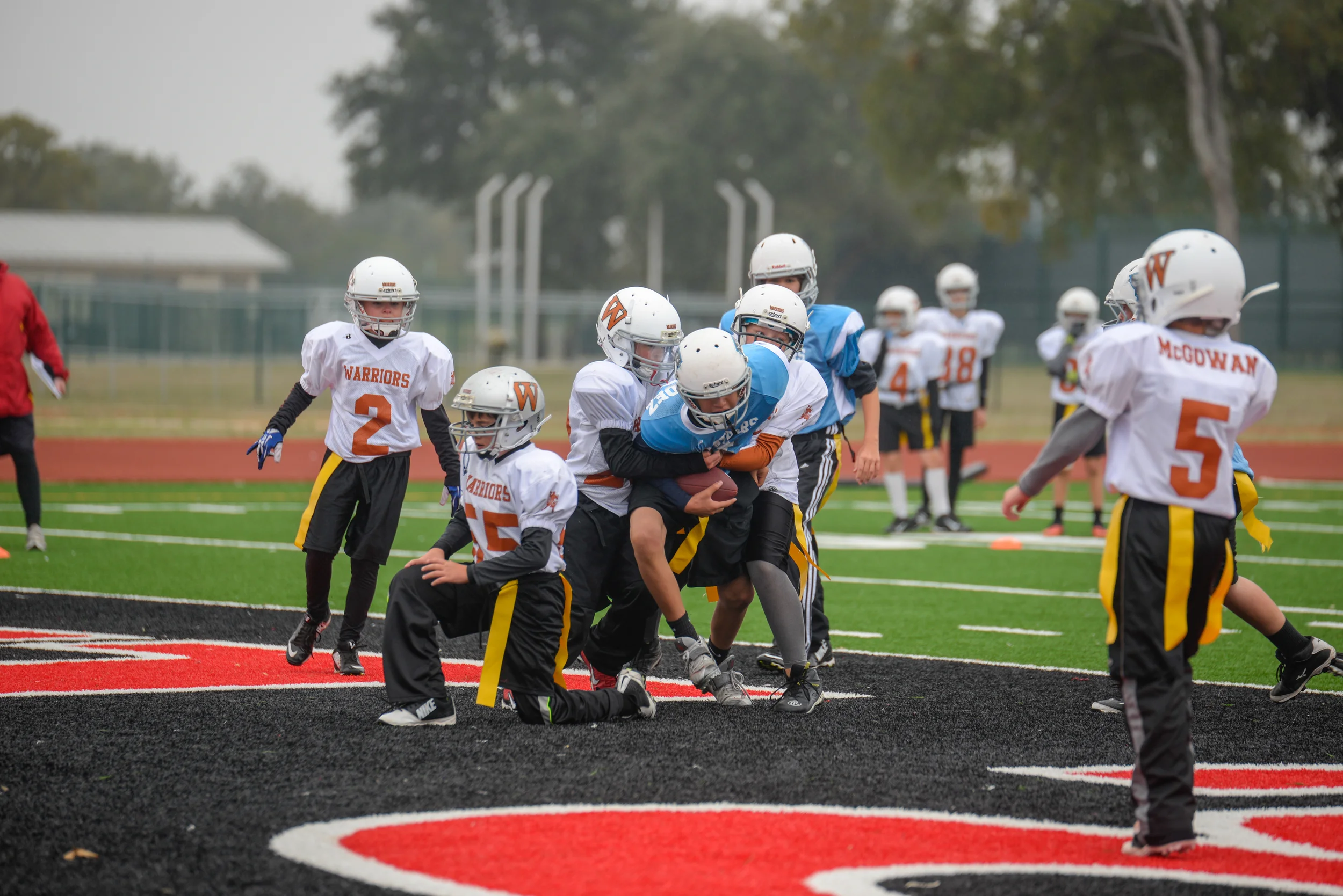 Panthers November 15, 2014-6.jpg