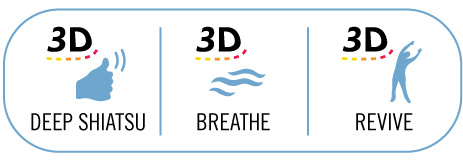 pegasus-3d-programs.png