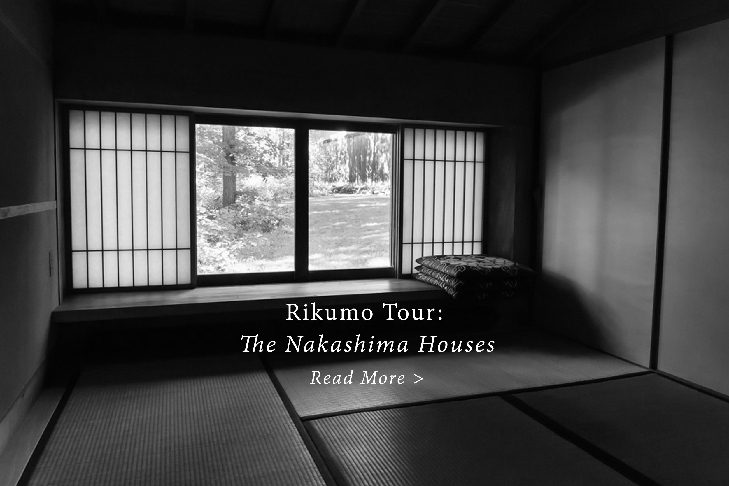 The Art of Tea: A Rikumo Workshop