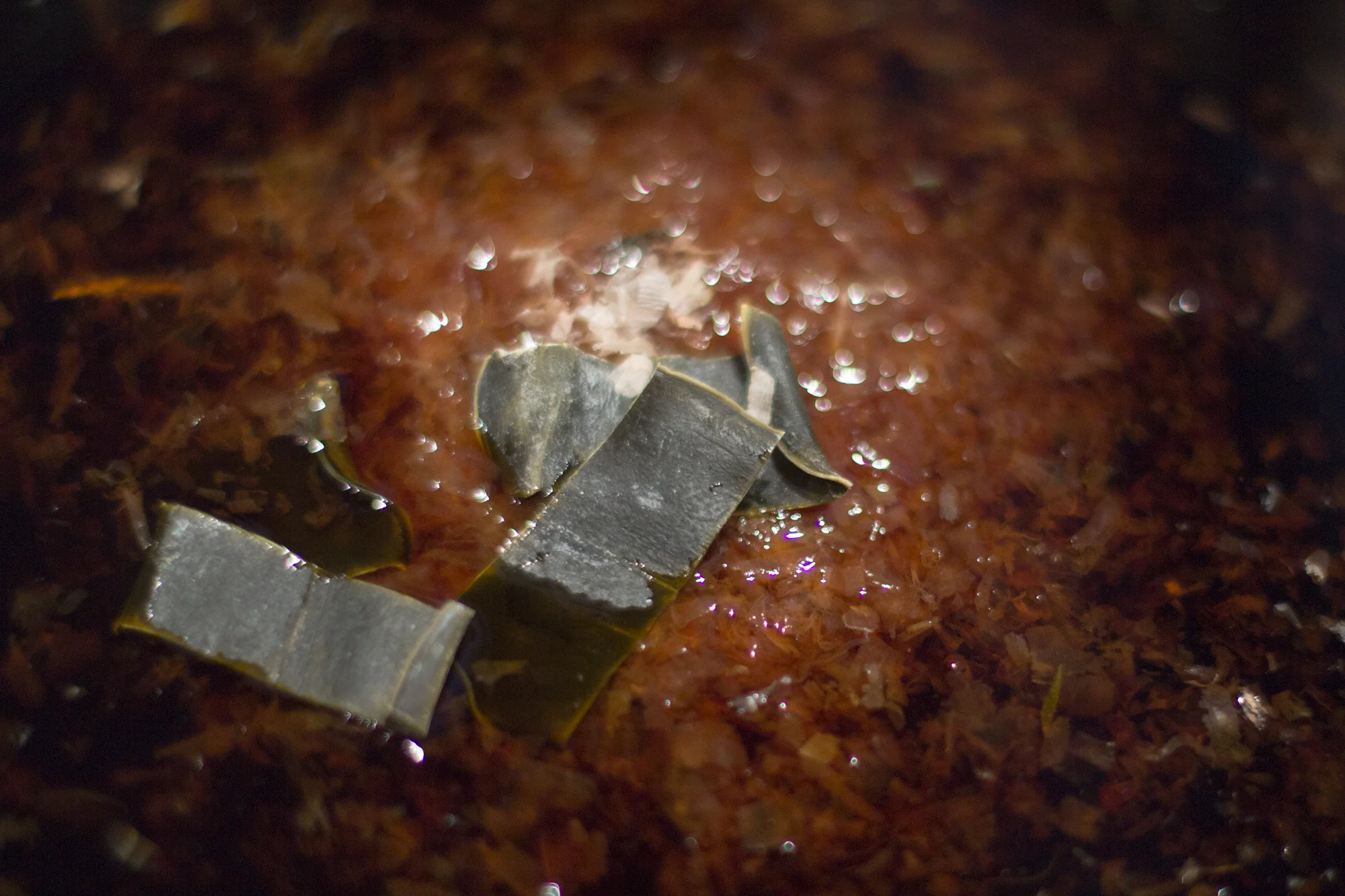 Boiling the Bonito flakes and Kombu.