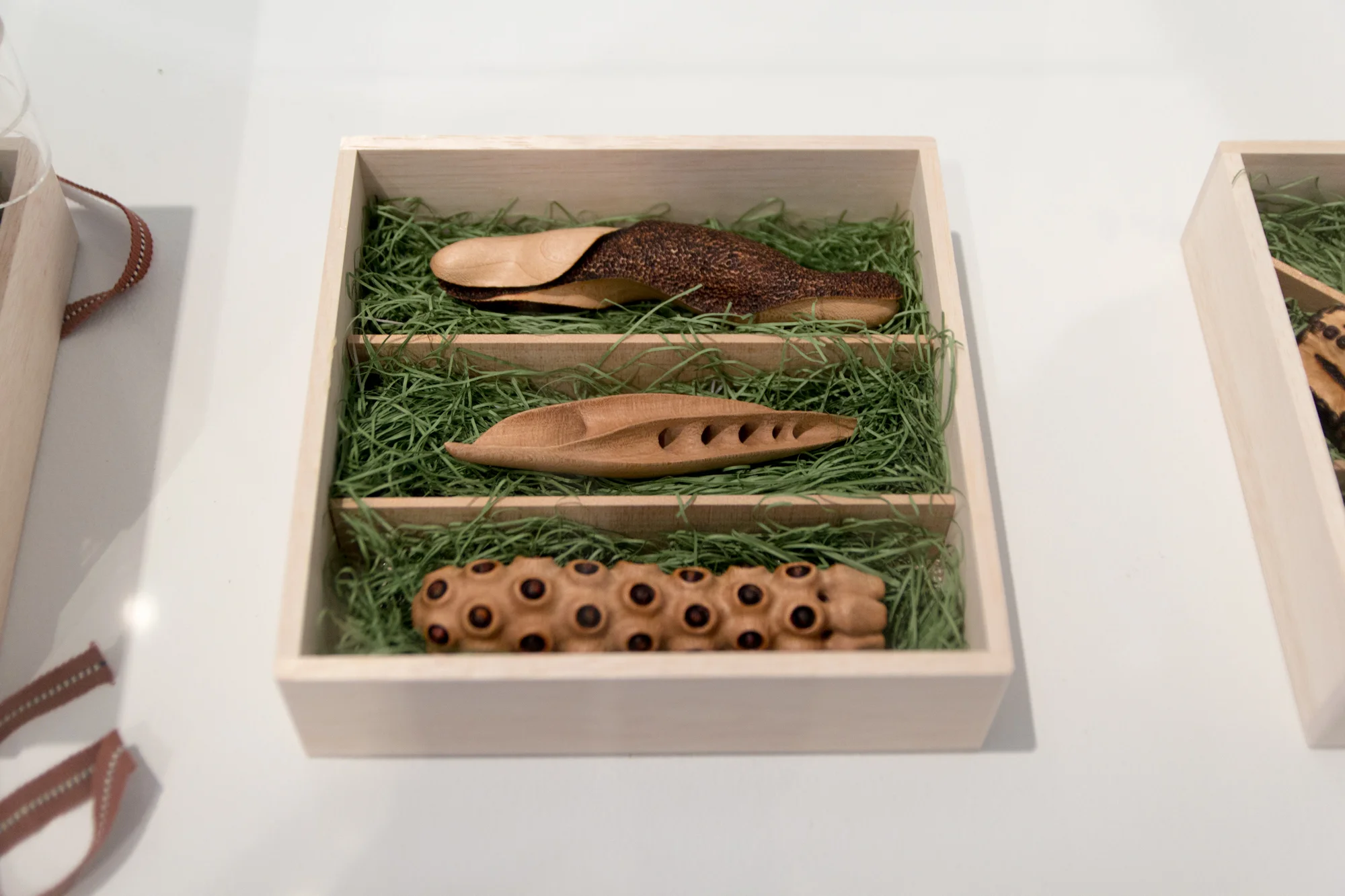 "New Japanese Species for Bartram" by Satoshi Fujinuma, 2012-2013. Various materials. 8 1/4 x 6 1/4 x 6 1/4 in. Featured in the Bartram's Boxes Remix exhibition, on view May 2 - July 19, 2014.