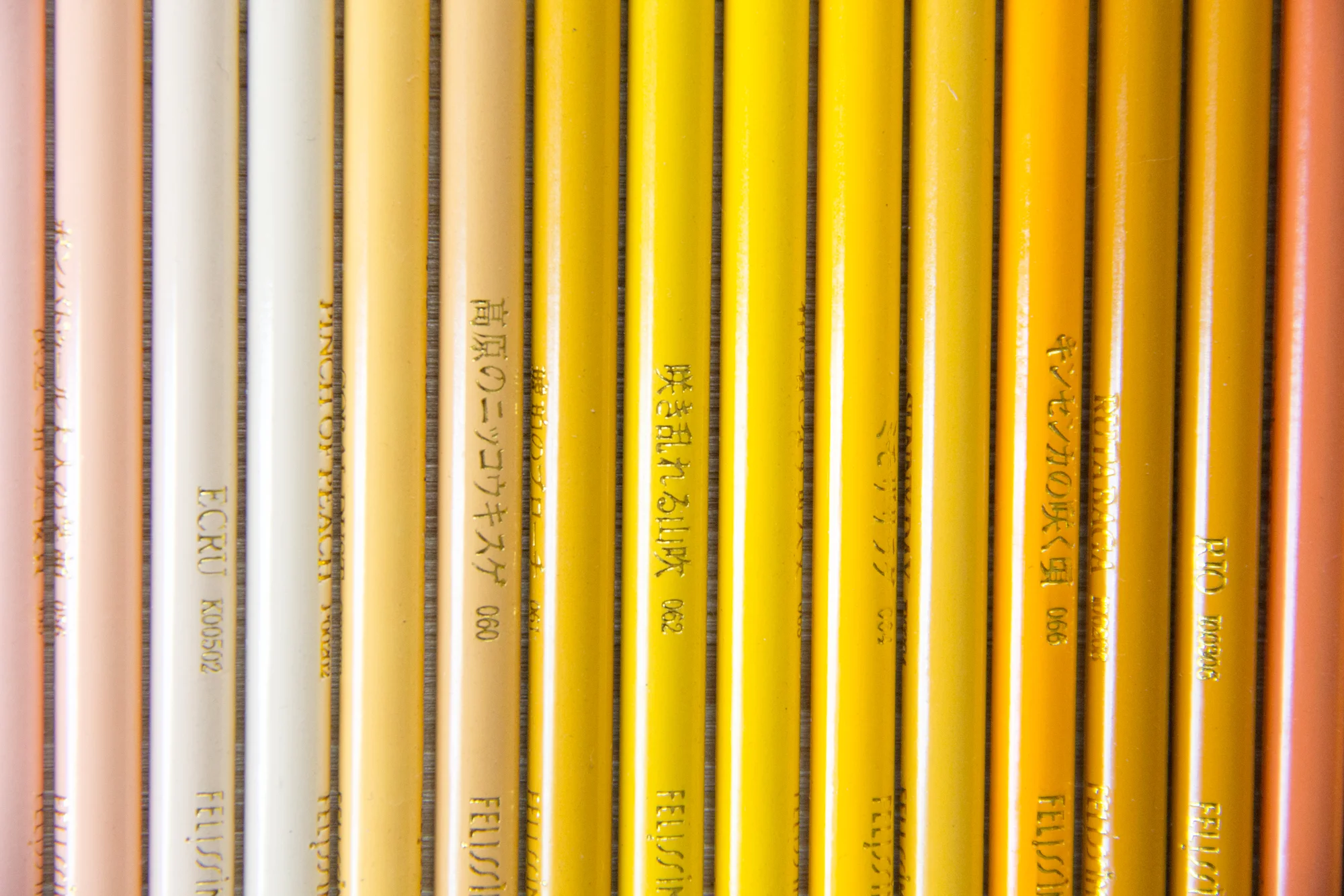 Rainbow Subscription : The Felissimo 500 — The Rikumo Journal