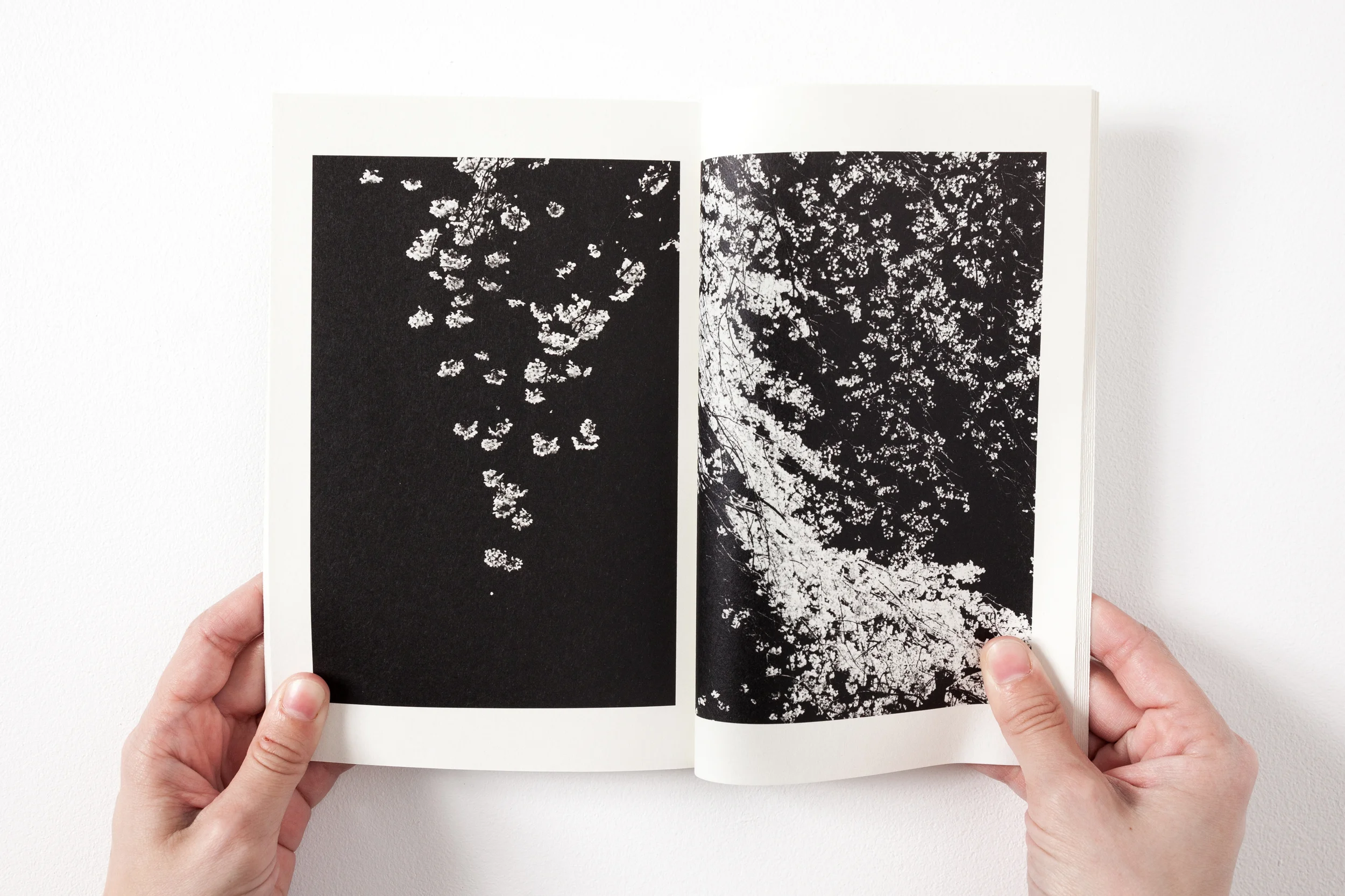 Art_Book_Fair_Books-4.jpg