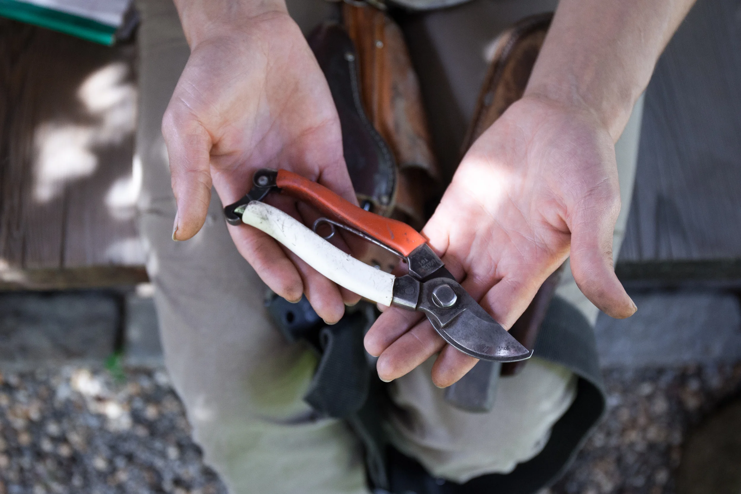 BYPASS PRUNERS
