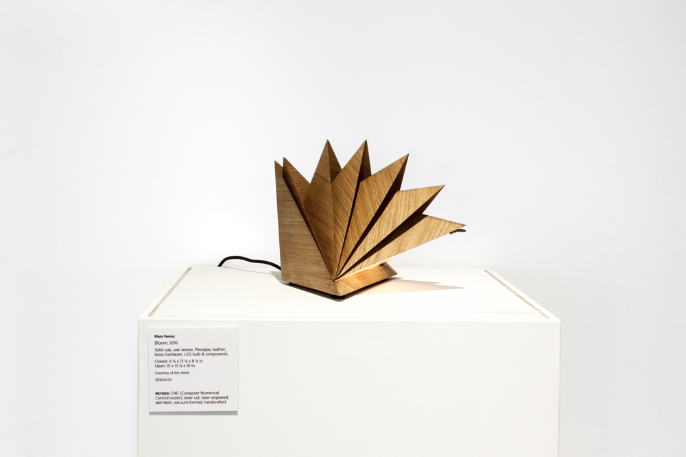Klara Varosy, Bloom, 2016