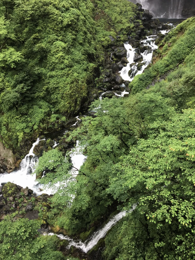 Nikko-7.jpg