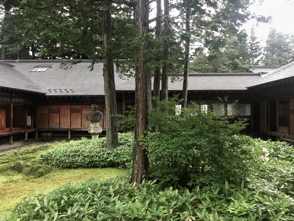 Nikko-5.jpg