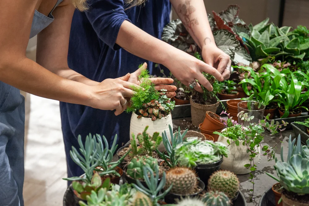 Field_Workshop_5.20.18-3.jpg