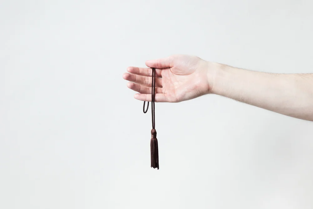 Tassels In the Snow: Coming of Age in Japan 