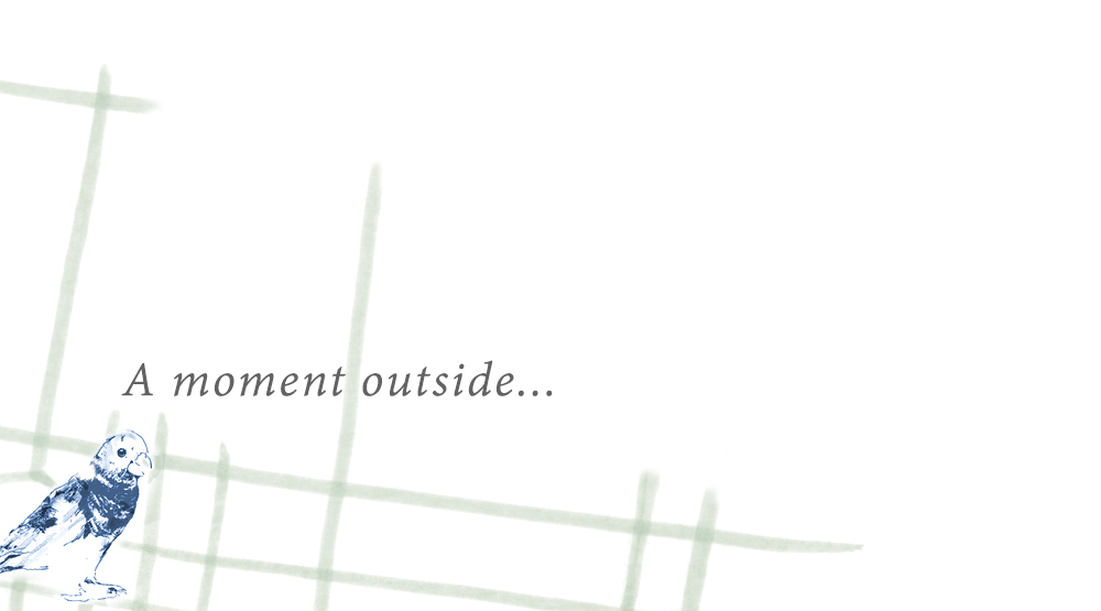 City_Guide_Journal_SLIDE_OUTSIDE.jpg