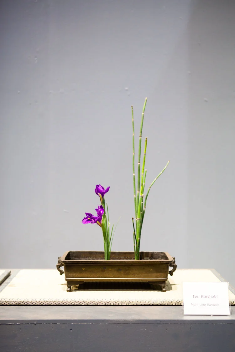 The Philadelphia Flower Show Part 2: The Surreal World of Ikebana