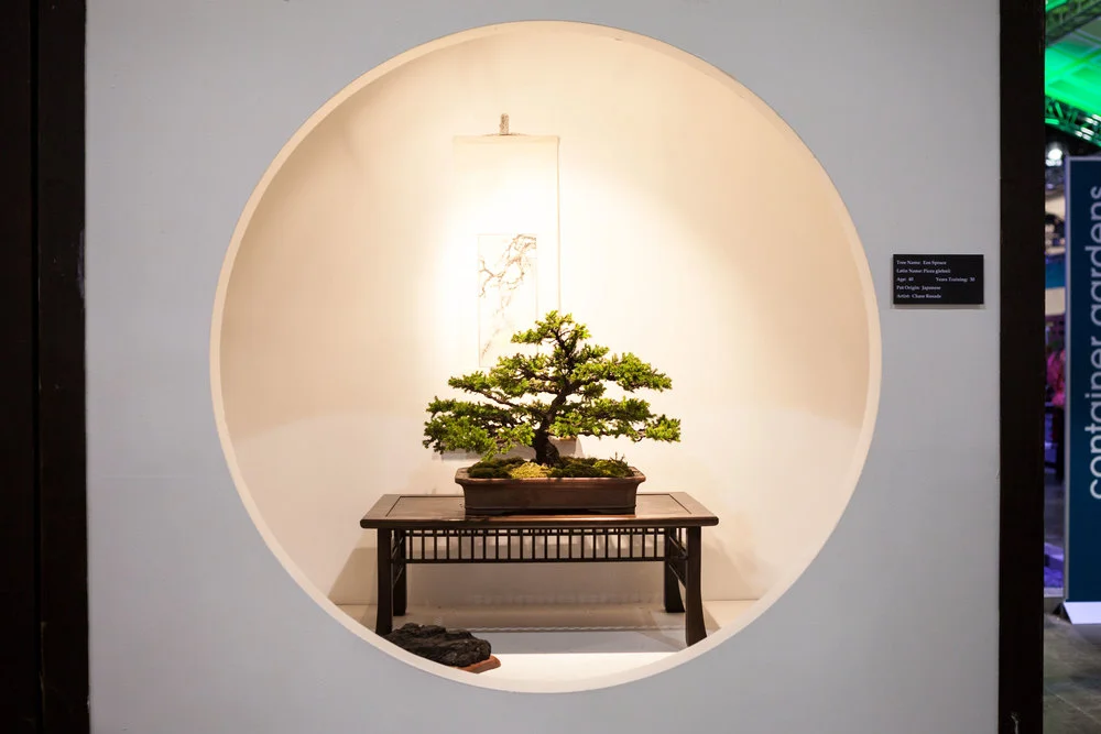 The Philadelphia Flower Show Part 1: Art of the Bonsai